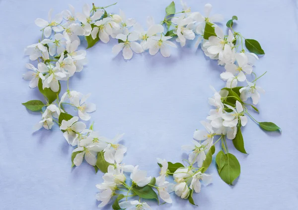 Beau fond concepteur avec les branches de pomme à fleurs — Photo