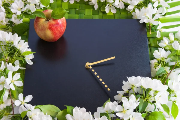 Beautiful designer background with the sprigs of flowering apple — Stock Photo, Image