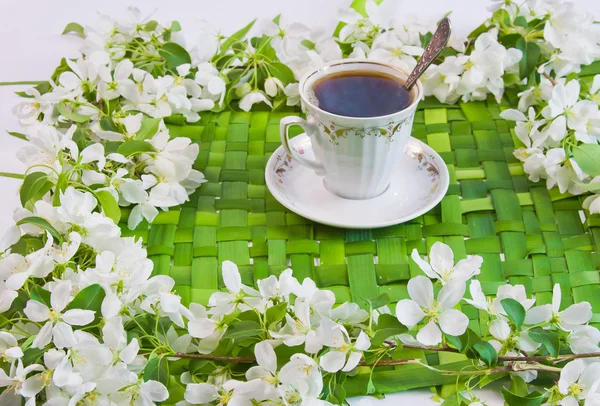 Cup of coffee with the sprigs of flowering apple-tree — Stock Photo, Image