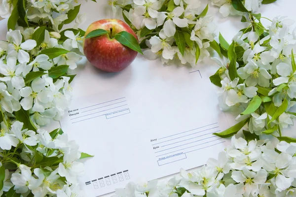 Красивий дизайнерський фон з гілочками квітучого яблука — стокове фото