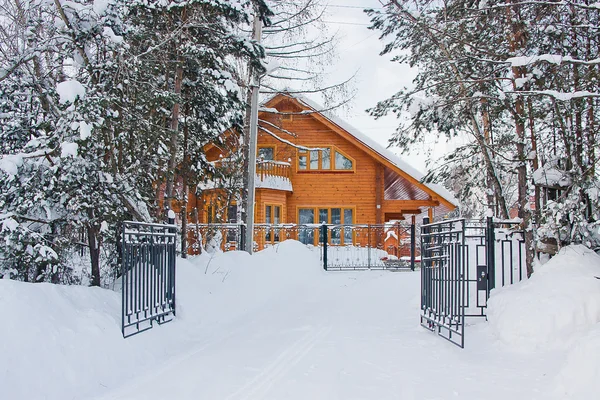 New cottage in a pine to the coniferous forest — Stock Photo, Image