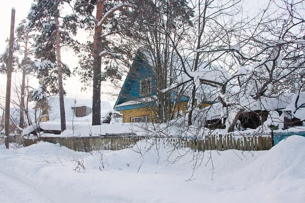 Oud huis in een dennenbos aan het naaldbos — Stockfoto