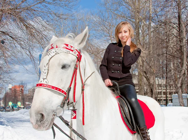 Woman with a horse in a winter park — Stock Photo, Image