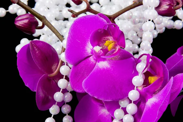 Blüten aus rosa Orchidee und Perlen aus weißen Perlen auf einem schwarzen — Stockfoto