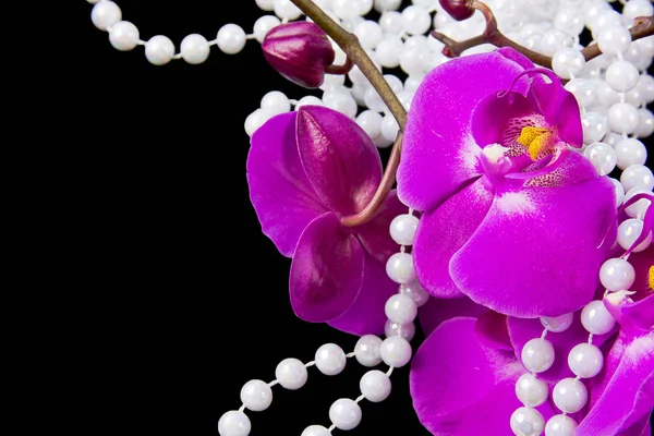 Blüten aus rosa Orchidee und Perlen aus weißen Perlen auf einem schwarzen — Stockfoto