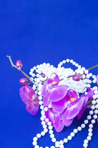 Kwiaty koraliki z białych pereł na ba niebieski i różowy storczyk — Zdjęcie stockowe
