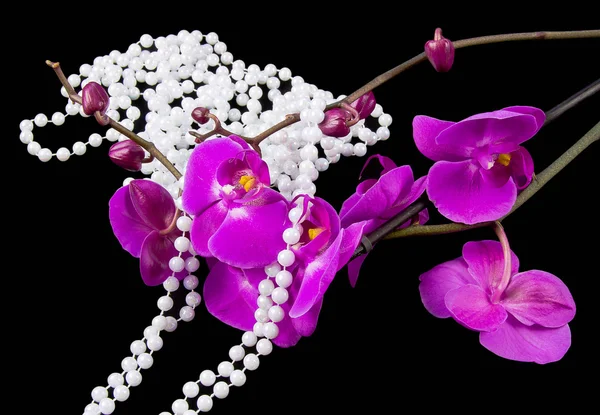 Fleurs d'orchidée rose et perles de perles blanches sur un noir — Photo