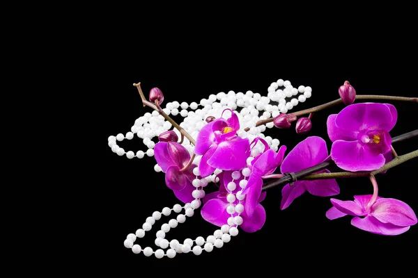 Bloemen van roze orchid en kralen van witte parels op een zwart — Stockfoto
