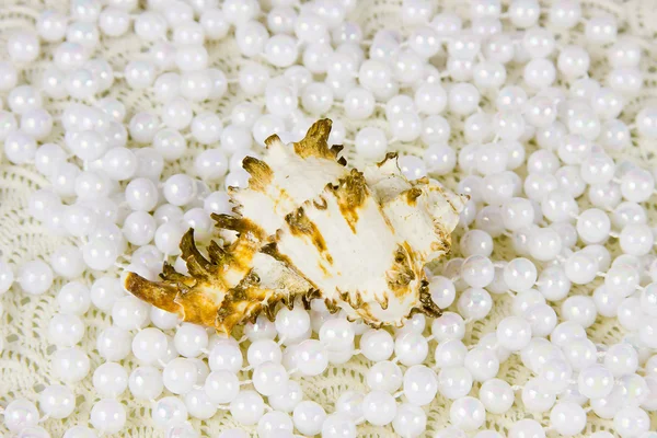 One cockleshell and beads of pearls — Stock Photo, Image