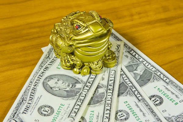 Bir kurbağa ve dolar bir hatıra mı — Stok fotoğraf