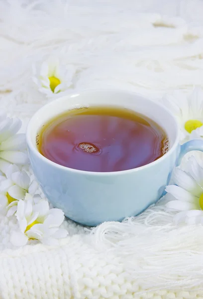 Kopp med varmt te och blommor av camomile — Stockfoto