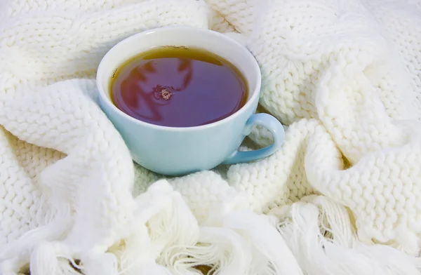 Kopp med te på stickad ull — Stockfoto