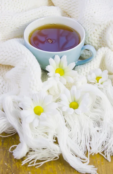 Kopp med te på stickade ylle och blommor av camomile — Stockfoto