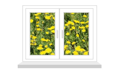 dandelions tür alanında kapalı pencere