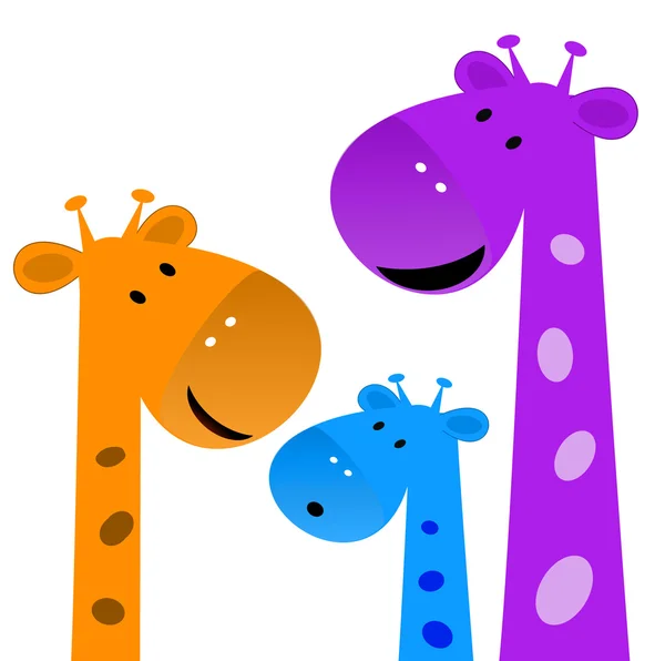 Family of giraffes on a white background — Stock Photo, Image