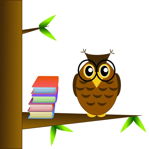 A clever owl spectacled sits on a tree with books on a white bac — Stock Photo, Image