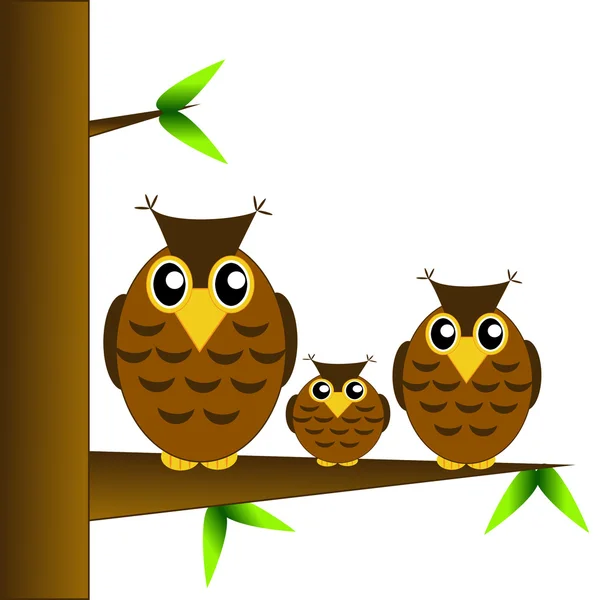 Three owls sit on a tree on a white background — Stock Photo, Image