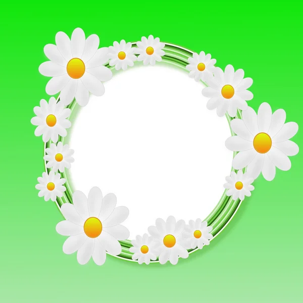 Sfondo designer con i fiori di colore bianco — Foto Stock