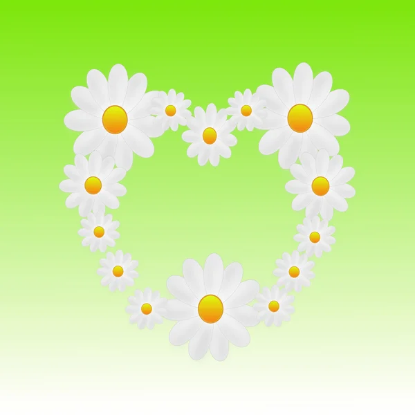 Designer fundo coração das flores de cor branca — Fotografia de Stock