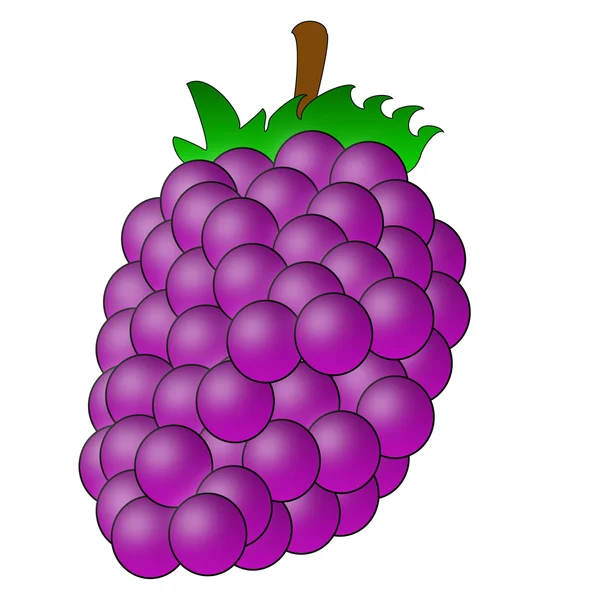 Húzott berry-a blackberry egy fehér háttér — Stock Fotó