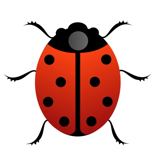 Coccinella insetto — Foto Stock