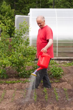 yaşlı bir adam bir bahçede inşaat