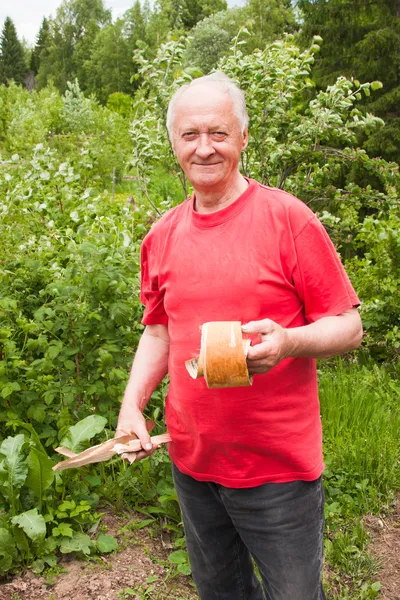 An elderly man gets on the hip the bark of birch — Stock Photo, Image