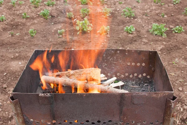 Conflagrant firewoods voor bereiding van shashlick — Stockfoto