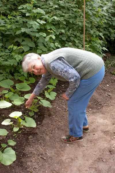 En äldre kvinna jordarter upp en säng med en pumpa — Stockfoto