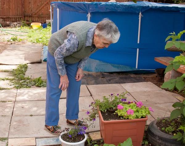 An elderly woman looks over flowers — Stock Photo, Image