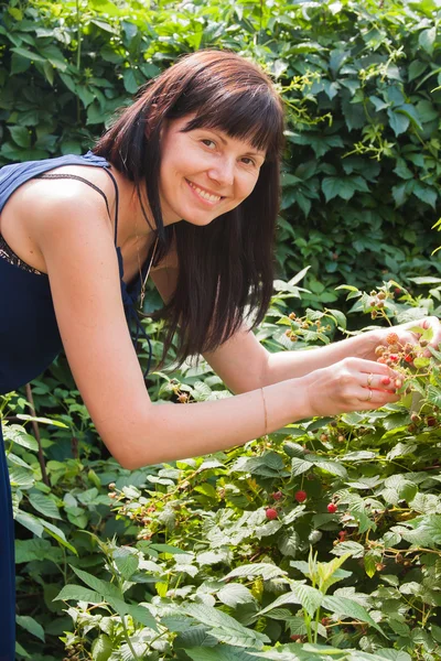 Una joven come bayas de frambuesa en un jardín —  Fotos de Stock