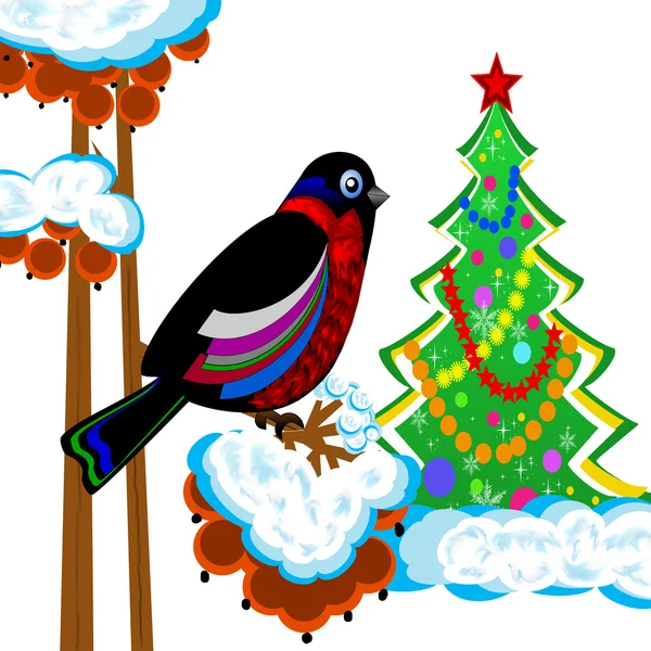 A bird is a bullfinch on the tree of wild ash and new-year tree — Stock Photo, Image