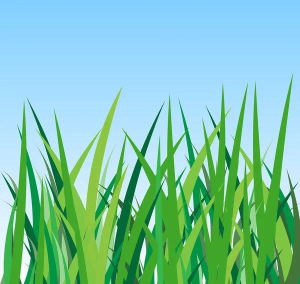 Grünes Gras auf blauem Hintergrund — Stockvektor