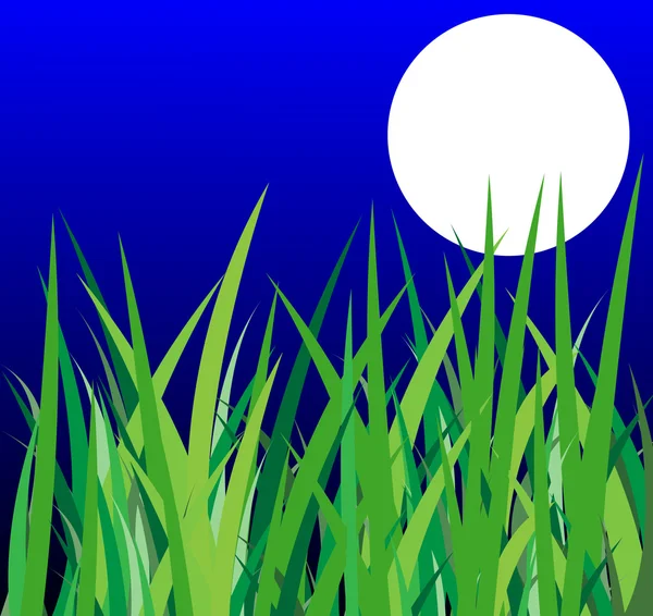 Herbe verte et lune sur un fond ciel nocturne — Image vectorielle