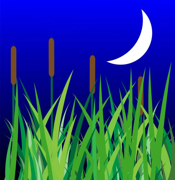 Groen gras met riet en maan — Stockvector