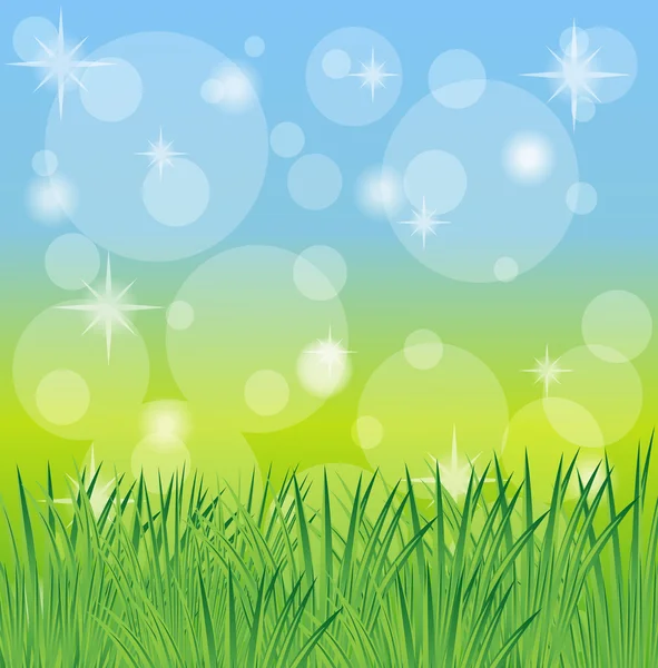 Grönt gräs på en blå bakgrund — Stock vektor