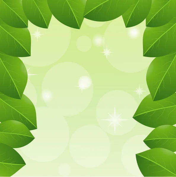 Bakgrund med gröna blad för en design — Stock vektor