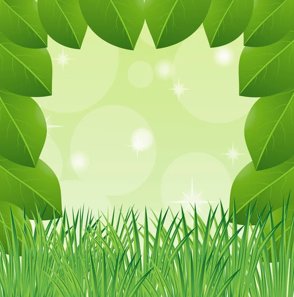 Background with green leaves and grass — Stock Vector