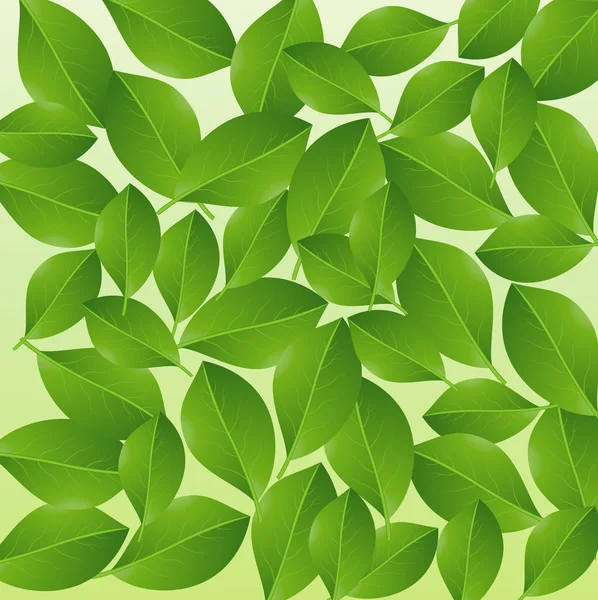 Background with green leaves for a design — Stock Vector