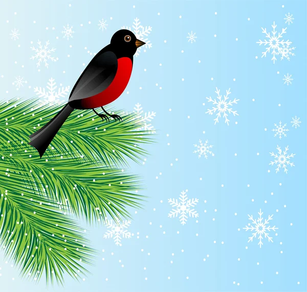 New-year background with spruce branch and bird bullfinch — Stock Vector