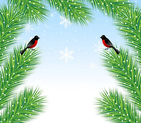 New-year background with spruce branch and bullfinch — Stock Vector