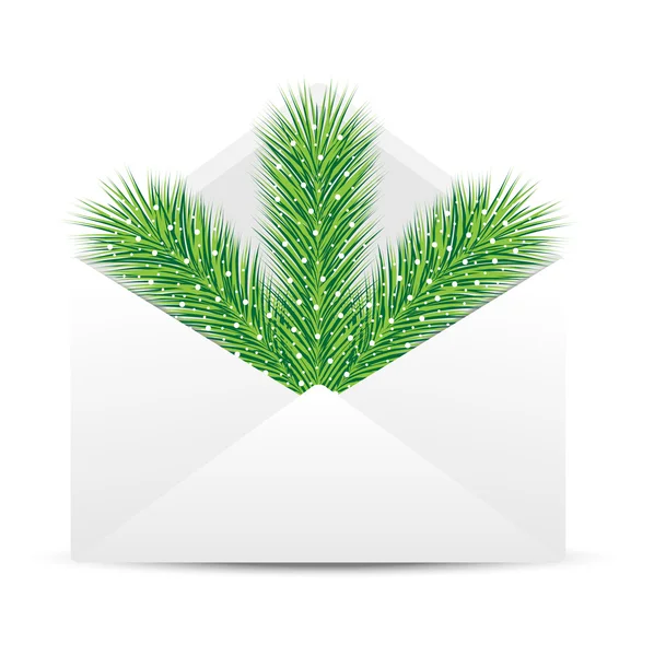 Open envelope with the branch of silver fir on a white backgroun — Stock Vector