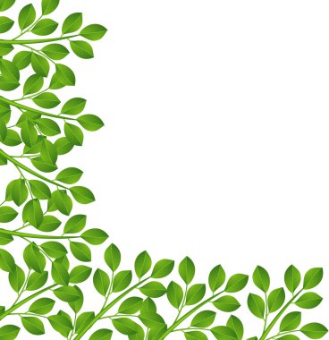 arka planı yeşil dallar ile bir tasarım için