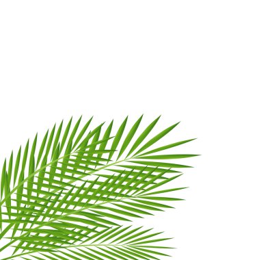 arka planı yeşil dallar ile bir tasarım için