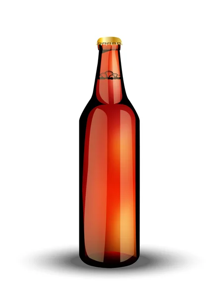 Glasflasche mit kohlensäurehaltigem Getränk — Stockvektor