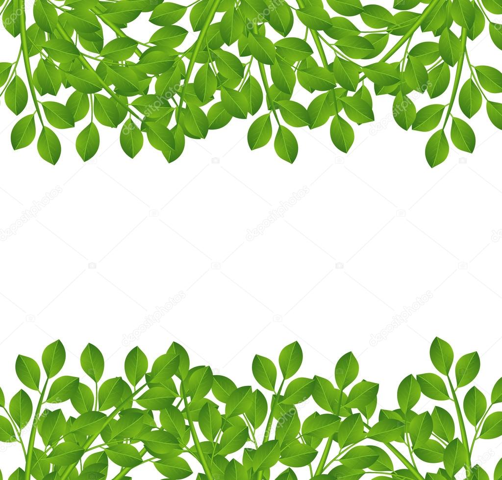 background for a design with green branches
