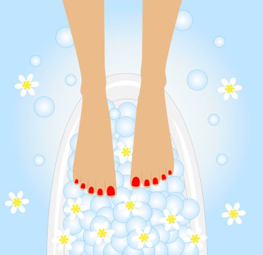 bakım ayak, papatya çiçekleri ile birdbaths