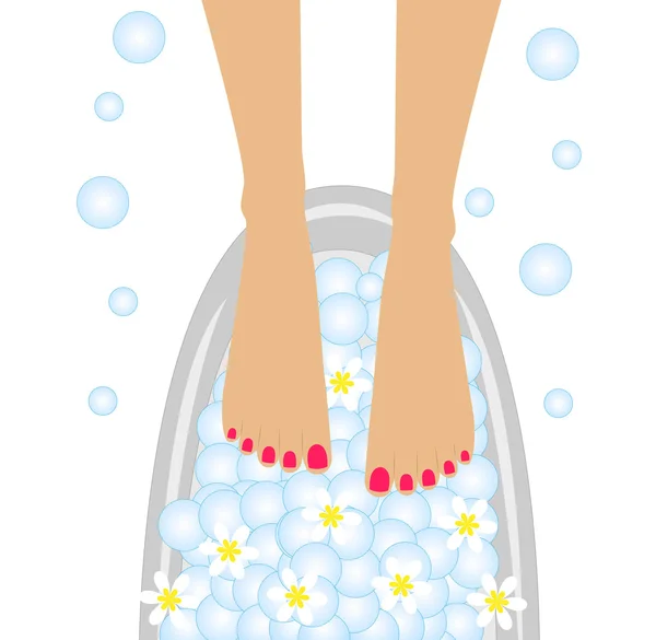 Care of feet, birdbaths with the flowers of camomile — Stock Vector