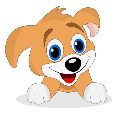 beyaz zemin üzerinde neşeli köpek
