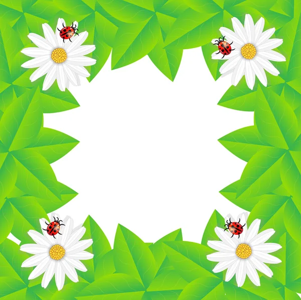 背景に花、テントウムシ — ストックベクタ